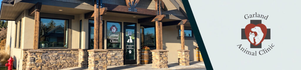 Garland Animal Clinic (1)